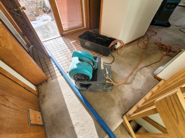 Water damage restoration process in Claiborne, LA