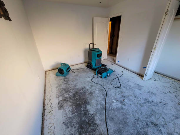 Best Commercial water damage restoration  in Ciborne, LA
