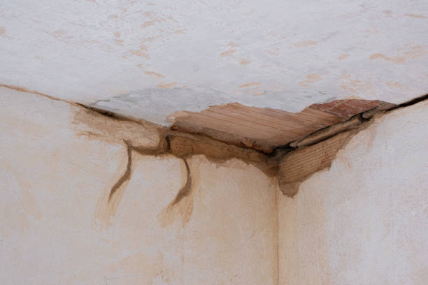 Best Sewage cleanup and water damage restoration  in Ciborne, LA