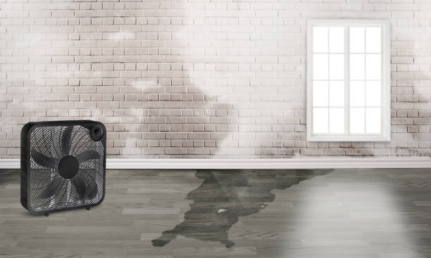 Reliable Claiborne, LA Water damage restoration Solutions
